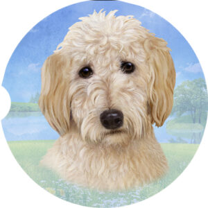 GOLDENDOODLE FACE CAR COASTERS