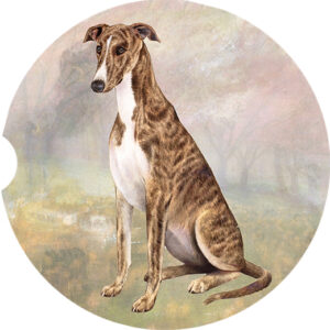 GREYHOUND SITTING CAR COASTERS