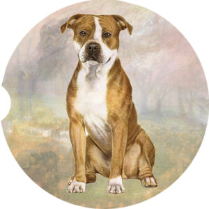 PITBULL EARS DOWN CAR COASTERS