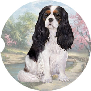 CAVALIER KING CHARLES SITTING CAR COASTERS
