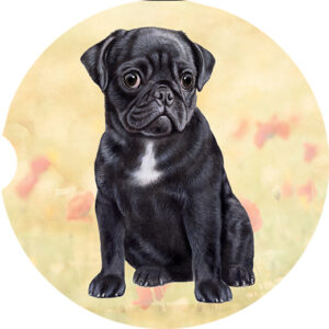 PUG BLACK SITTING CAR COASTERS