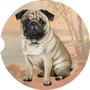 PUG, TAN SITTING CAR COASTERS
