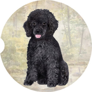 POODLE, BLACK CAR COASTERS