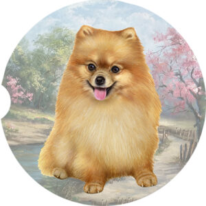 POMERANIAN SITTING CAR COASTERS