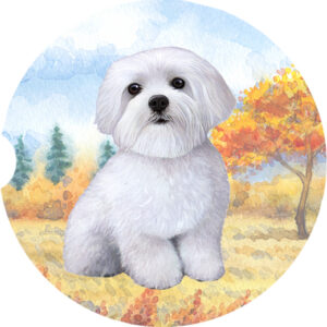 MALTESE STANDING CAR COASTERS