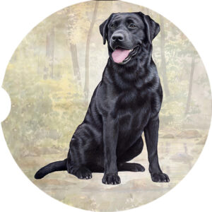 LAB BLACK SITTING CAR COASTERS