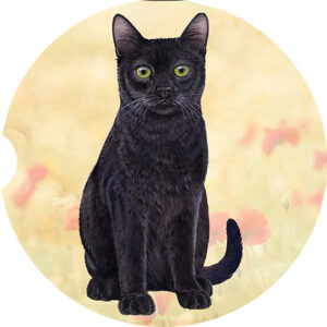 BLACK CAT SITTING CAR COASTERS