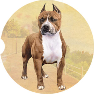 PITBULL STANDING CAR COASTERS