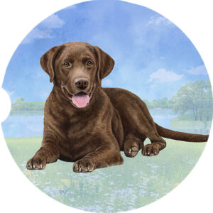 LAB CHOCOLATE LAYING CAR COASTERS