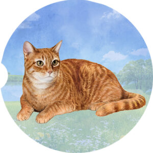 TABBY ORANGE CAR COASTERS