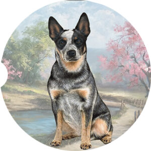 AUSTRALIAN CATTLE DOG SITTING CAR COASTERS