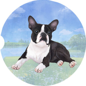 BOSTON TERRIER LAYING CAR COASTERS