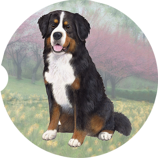 BERNESE MT. DOG SITTING CAR COASTERS