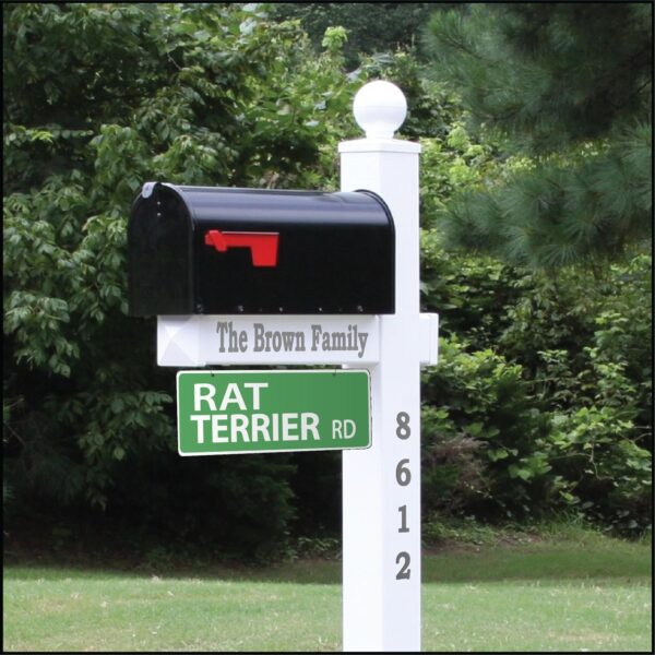 Street Sign * Rat Terrier