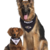 BALTIMORE RAVENS REVERSIBLE BANDANA - Image 4