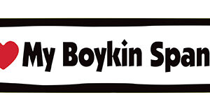 I LOVE MY BOYKIN SPANIEL- BONE MAGNET