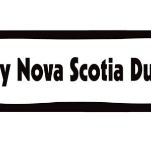 I LOVE MY NOVA SCOTIA DUCK TOLLER - BONE MAGNET