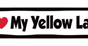 I LOVE MY YELLOW LAB - BONE MAGNET