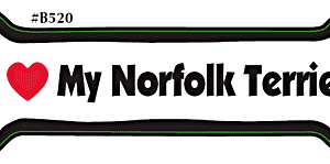 I LOVE MY NORFOLK TERRIER- BONE MAGNET