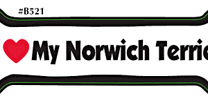 I LOVE MY NORWICH TERRIER- BONE MAGNET