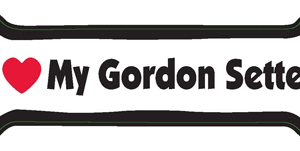 I LOVE MY  GORDON SETTER - BONE MAGNET