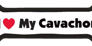 I LOVE MY CAVACHON- BONE MAGNET
