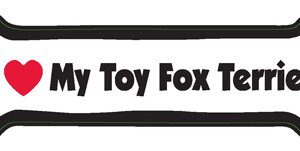 I LOVE MY TOY FOX TERRIER - BONE MAGNET