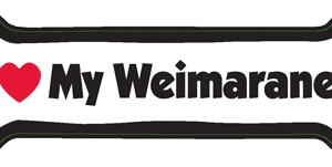 I LOVE MY WEIMARANER- BONE MAGNET
