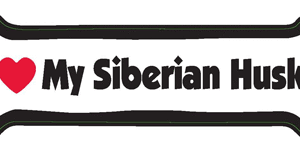 I LOVE MY SIBERIAN HUSKY - BONE MAGNET