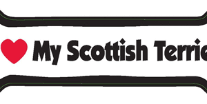 I LOVE MY  SCOTTISH TERRIER - BONE MAGNET