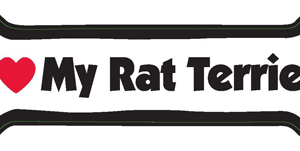 I LOVE MY RAT TERRIER - BONE MAGNET