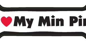 I LOVE MY MIN PIN - BONE MAGNET