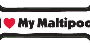 I LOVE MY MALTIPOO- BONE MAGNET