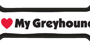 I LOVE MY GREYHOUND - BONE MAGNET