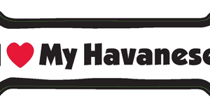 I LOVE MY HAVANESE - BONE MAGNET