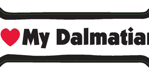 I LOVE MY DALMATIAN - BONE MAGNET