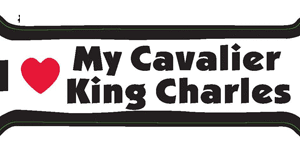 I LOVE MY CAVALIER KING CHARLES - BONE MAGNET
