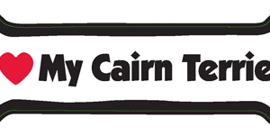 I LOVE MY CAIRN TERRIER - BONE MAGNET