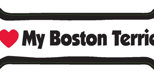 I LOVE MY BOSTON TERRIER - BONE MAGNET