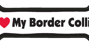 I LOVE MY BORDER COLLIE - BONE MAGNET
