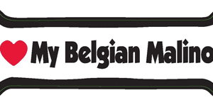 I LOVE MY BELGIAN MALINOIS - BONE MAGNET