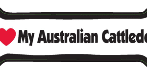 I LOVE MY AUSTRALIAN CATTLEDOG - BONE MAGNET