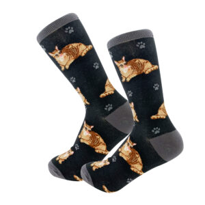 ORANGE TABBY SOCKS