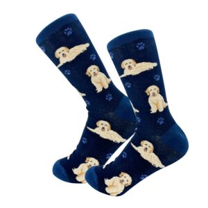 GOLDENDOODLE, BLUE SOCKS