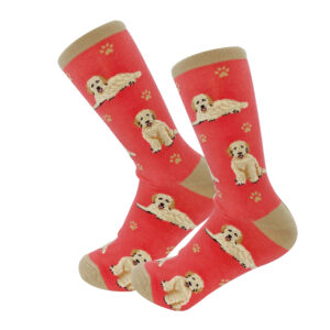 GOLDENDOODLE, PEACH SOCKS