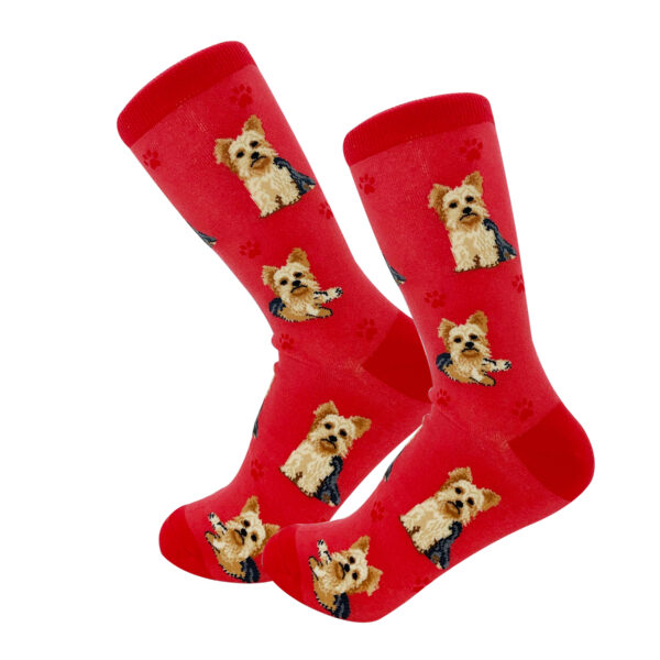 YORKIE SOCKS