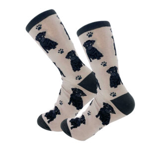 PUG, BLACK SOCKS