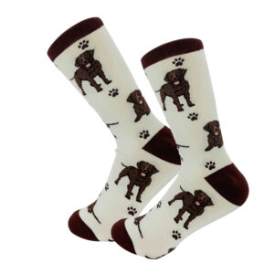 LABRADOR, CHOCOLATE SOCKS