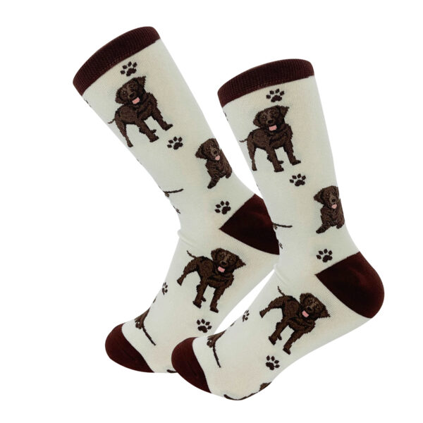 LABRADOR, CHOCOLATE SOCKS