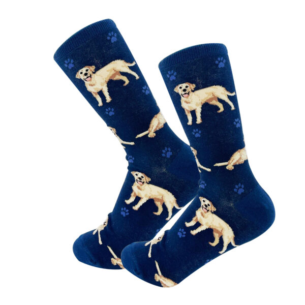 LABRADOR, YELLOW SOCKS